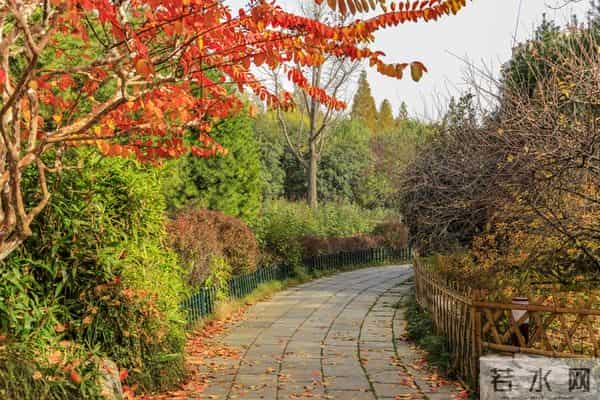 人到中年才醒悟:人生最“无用”的东西,就是这两个字