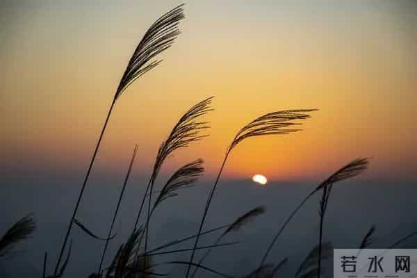 一辈子都写不出的金句，我为你整理了32句