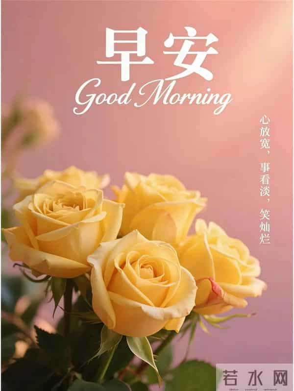 11月27日早上好 早上好清新淡雅图片 早安问候图片最新今天