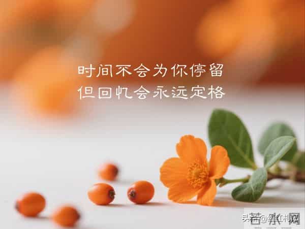 余生很短，别让遗憾太长。