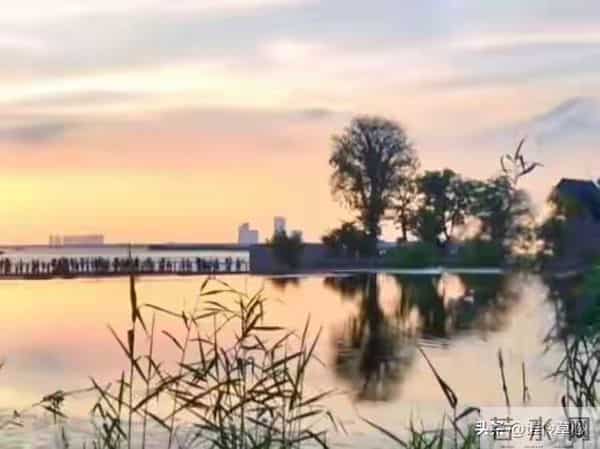 妹妹让我凌晨4点送她去机场老公却拽住我：别去，她刚发了动态！