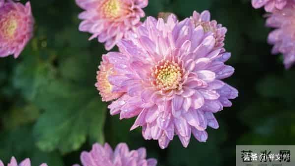 越是“理性”的女人，就越高级，她藏在这些为人处世的细节里