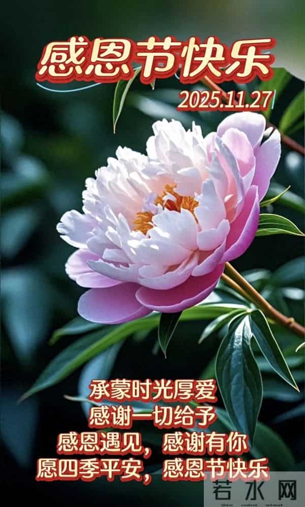 初冬第19天，今日感恩节，感恩遇见，感谢有你