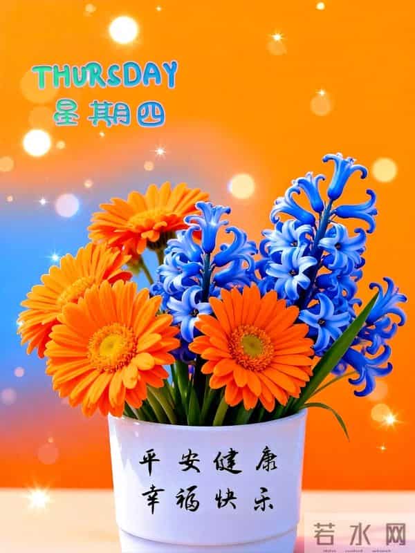 2025.11.27周四早安丨愿你今日心有暖阳路有花开，与美好不期而遇