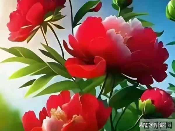 关系再亲密，女人身上也有2个“禁区”，男人千万别碰！