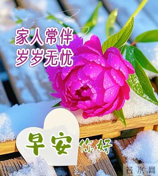 2025年11月27日早上好 周四祝福问候语 早安精美图片 今日喜乐无忧