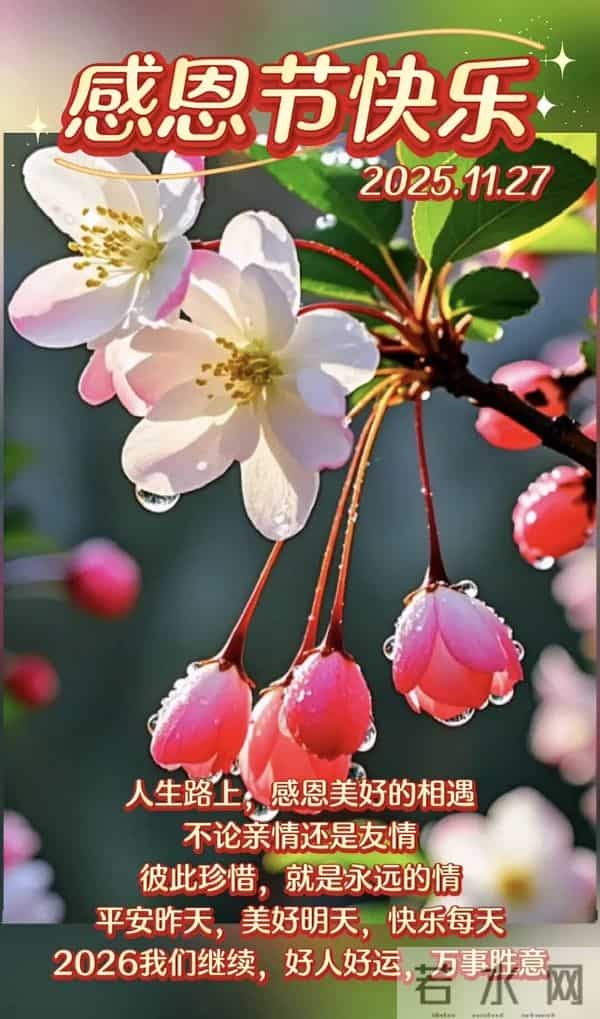 初冬第19天，今日感恩节，感恩遇见，感谢有你