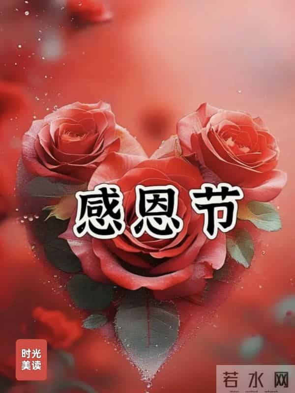 感恩节到了，感谢一路陪伴我的人，感恩有您，风雨同行