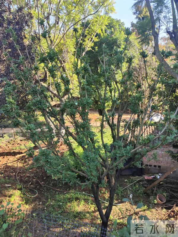 看淡人生,善待自己,你做到了吗?