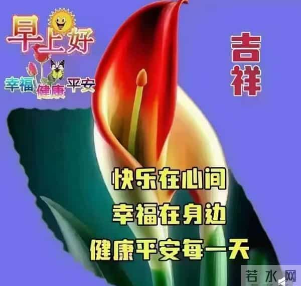 晨光亮，花果香，早安安