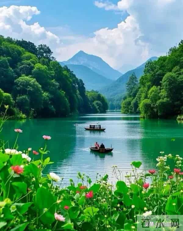 心宽则路宽,心静则福来:3个维度,养出通透自在的人生