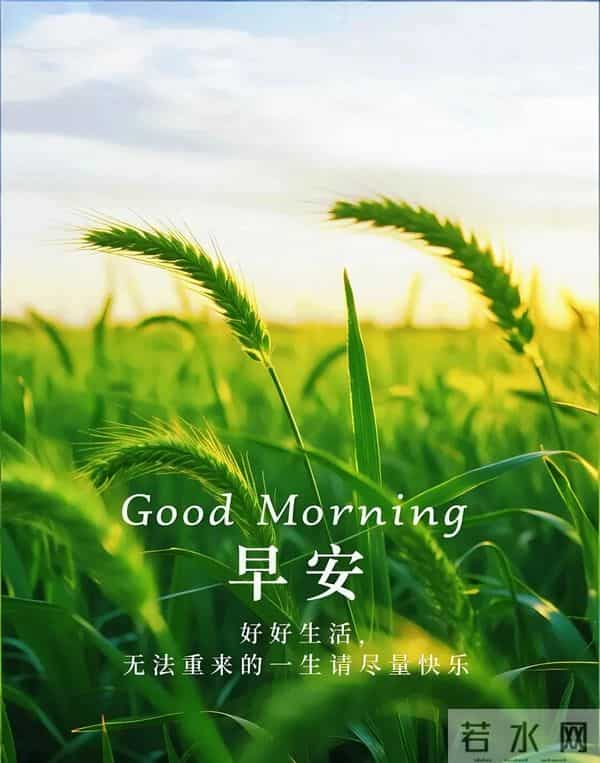 新的一天,新的开始!一句早安,温暖心房;一份祝福,伴你身旁。