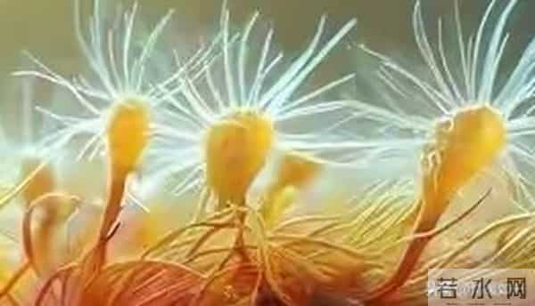 关系再亲密，女人身上也有2个“禁区”，男人千万别碰！