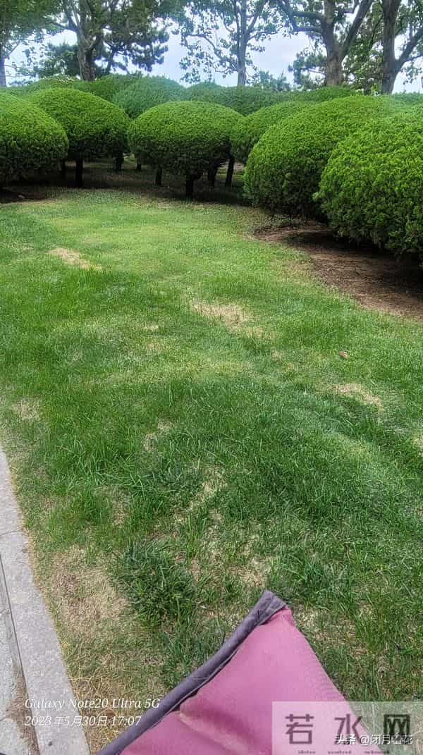 半生风雨半生悟：释怀才是人生的解药