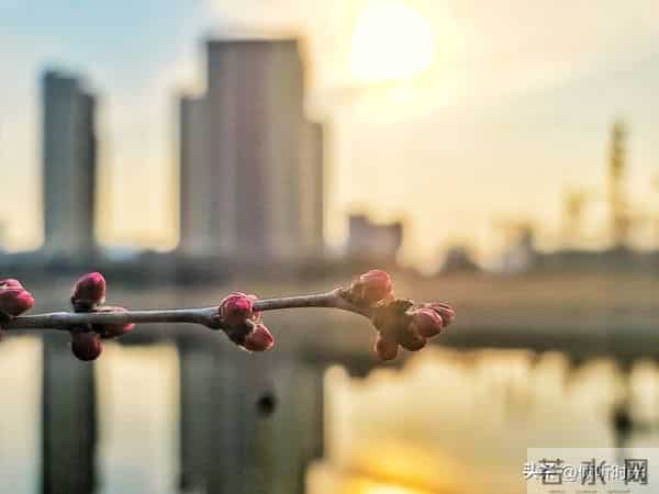 是天意有意让你看到此文，你命中有的早晚都会到你手中