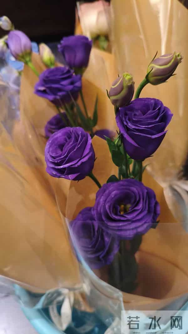 助力你保持高能量的23个好习惯