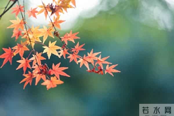 情感铁律:生理性喜欢,一辈子不会超过2次