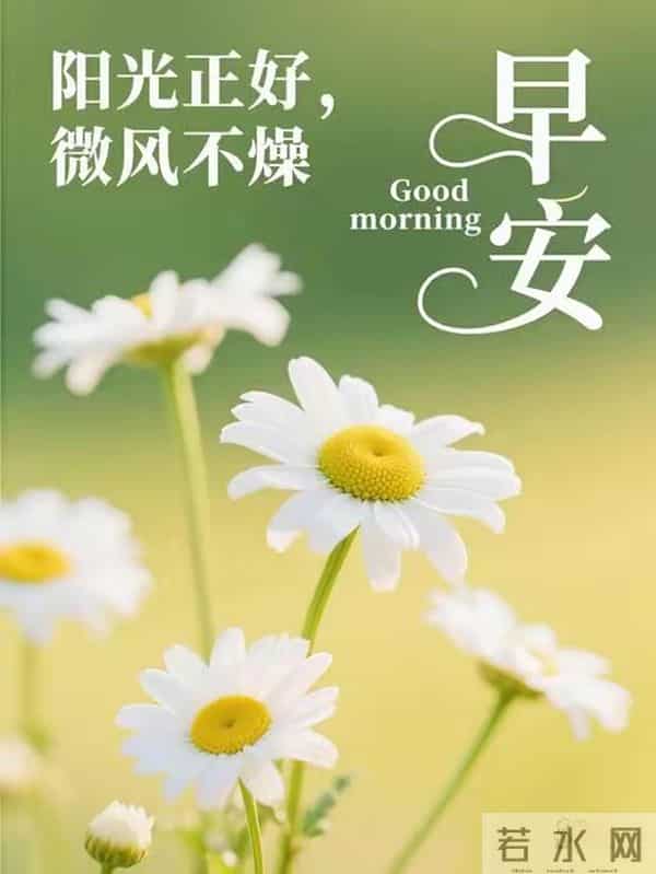 2025年11月28日,星期五,农历十月九,早安吉祥祝福语!