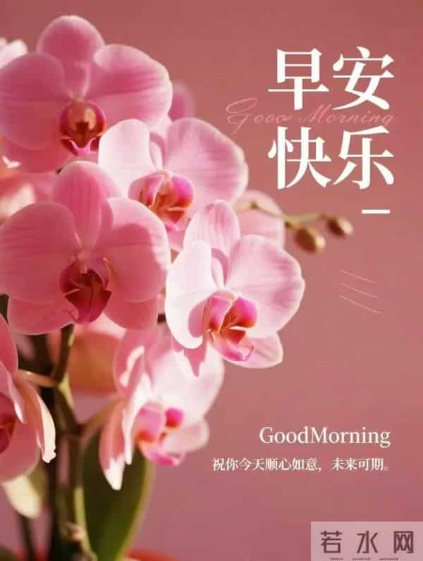 2025.11.27早安!清风伴晨,愿你顺遂无忧,时光皆温柔