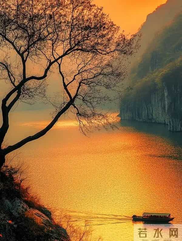 在这世界上亲人只有一种，那就是心疼你的人，担心你的人