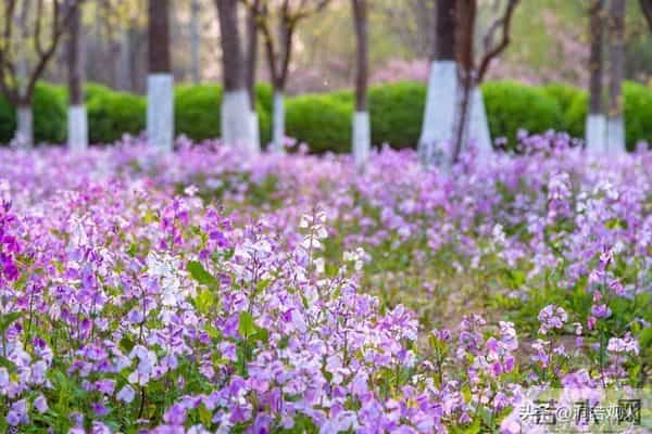 女人到了中年要明白：其实爱不爱已经不重要了，男人而已