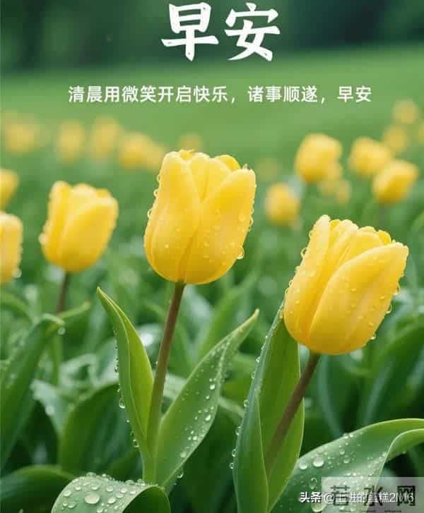 早安!新的一天,阳光灿烂,愿你一生平安,幸福快乐永远追随!