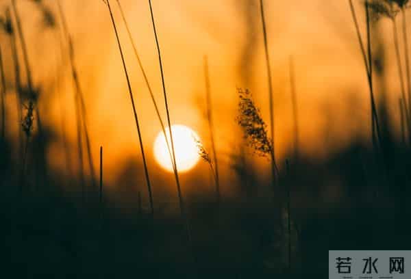 “一辈子都写不出的神仙句子,我帮你整理了28句,喜欢自取”