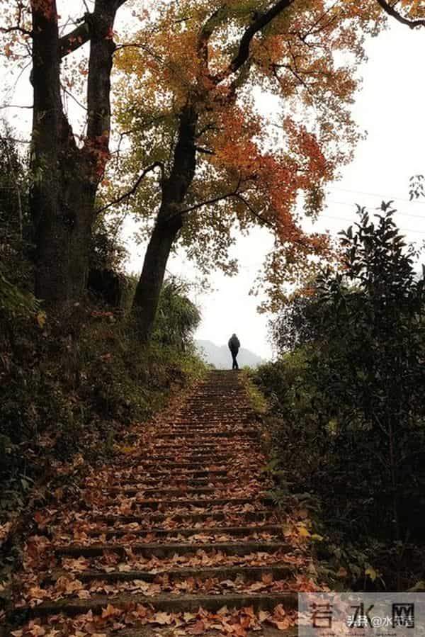 人老了,最嫌弃你的人是谁?主要有三人,看完你就明白了