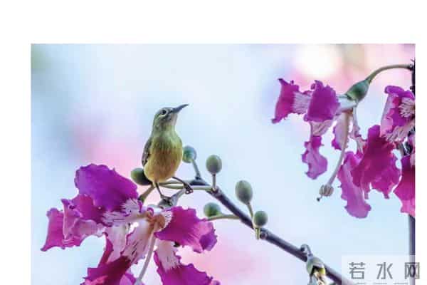 低谷不会永远困住你，今天是最后一天，下一步你将迎来崭新人生