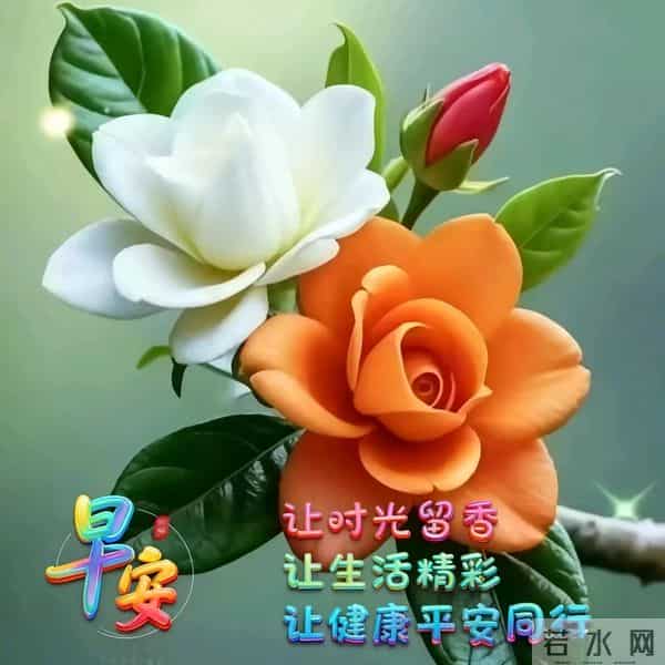 吉祥安康祝福图丨相知无远近，贵在心连心 友谊本无价，祝福在清晨