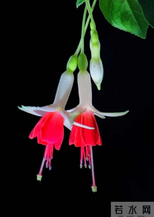 女人好不好追,这样称呼她就明白了