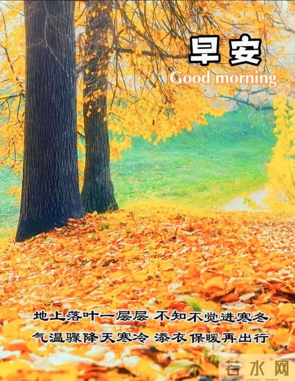 2025年11月27日感恩节早上好 精美图片送问候 感恩有你 今日幸福满满