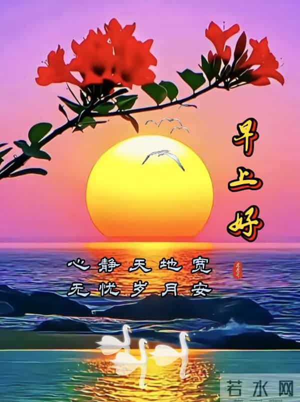 2025年11月27日周四早安 暖心问候伴美图 愿你今日舒心 早上好祝福语