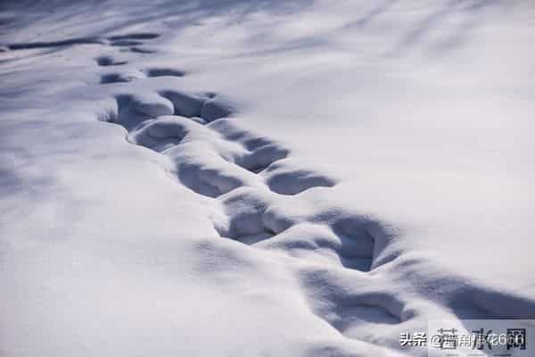 那年母亲去山上捡柴火,遇到一位老人在路边哭泣,母亲做了个决定