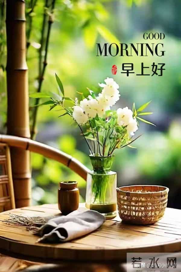 早安图片-愿今日的你不负晨光,好运将至~