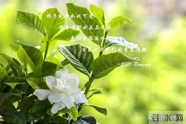 婚姻中，即便对方再优秀、再帅气，都不如找个对你依赖较少的配偶