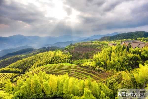 两性关系:99%的男人都错了,女人真正“上瘾”的根本不是钱和脸