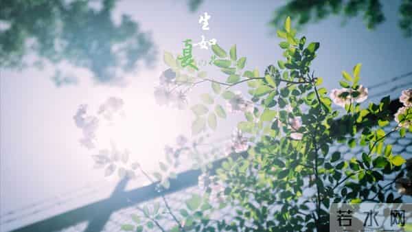 活到四十才懂，别人的嘴是砒霜还是空气全看你心态