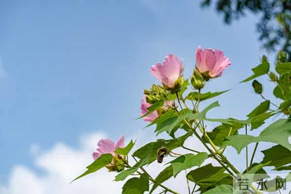 男人如此对你“装傻”,是心里没你的证据