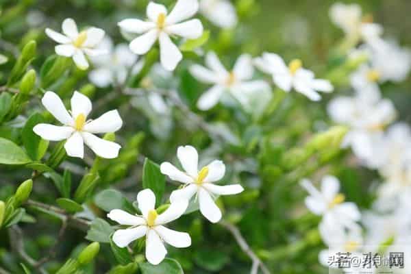 婚姻中，即便对方再优秀、再帅气，都不如找个对你依赖较少的配偶