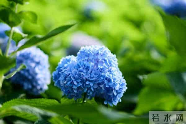 家出贵人，必有征兆：一个家庭出现这3个征兆，说明要走大运了