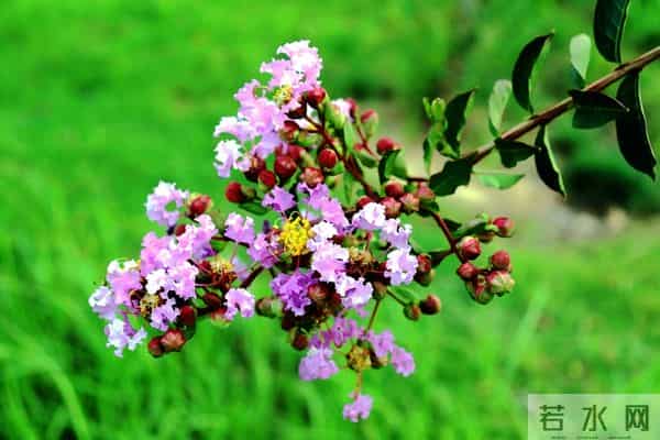 朋友之间，不管关系多好，都得在这三件事上“装哑”