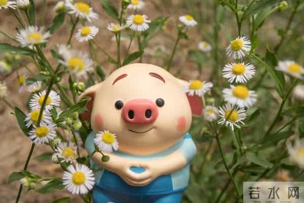 “逢人且说三分话”:属猪人,这是你想不到的.