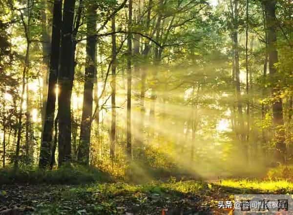 作为一名玄学研究者,奉劝你一个真相。你真的不用焦虑,你牵挂的