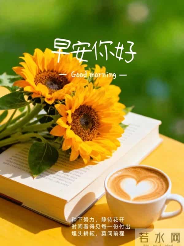 周四早安!30条有温度的早安文案,愿岁月温柔以待!