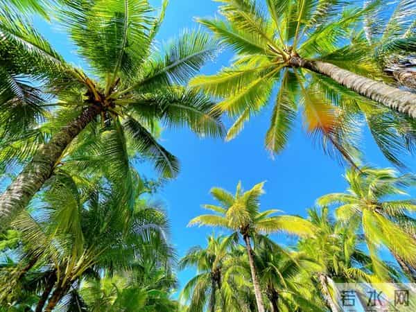 人老了才发现,想要跟子女关系融洽,聪明的老人都会这样做!