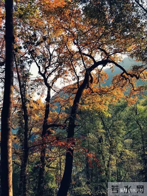 人老了,最嫌弃你的人是谁?主要有三人,看完你就明白了