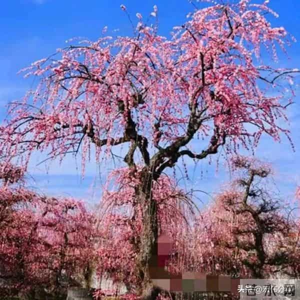 如果你已经六十岁了,每天还胡思乱想活在焦虑里,看看下面文字