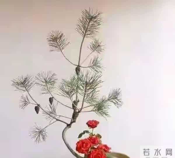 两性关系，多数女人60岁后，都会出现这3种情况，但她们从不说！