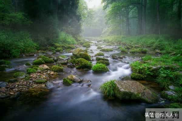 遇到不尊重你的小人，不要讨好，不要硬刚，记住“灰岩效应”！